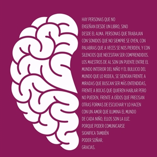 Camiseta AL - Imagen 2