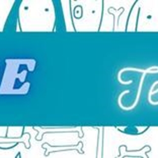 Collar perro Teacher's assistant - Imagen 2